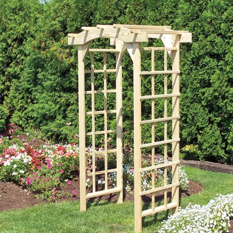 Arbor - Economy Round